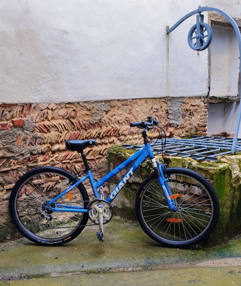 VTT Giant bleu d'occasion révisé par reCyclo